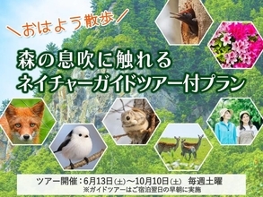 “森の妖精”シマエナガに会えるかも　北海道・層雲峡温泉の朝、ネイチャーガイドとの散歩付き宿泊プラン