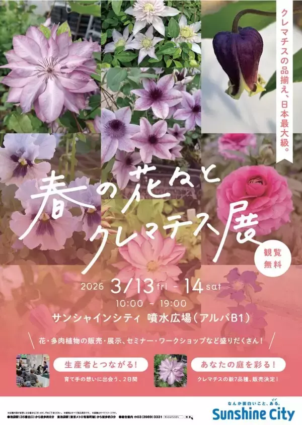 サンシャインシティで「春の花々とクレマチス展」　世界初公開新品種も一般販売　