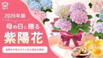 母の日ギフトに“紫陽花”が急浮上？　カーネーション一強時代に変化の兆しか