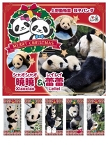 上野公園不忍池で「上野シタマチ CHRISTMAS」、12月25日まで　クリスマスパンダ切手も数量限定で販売中