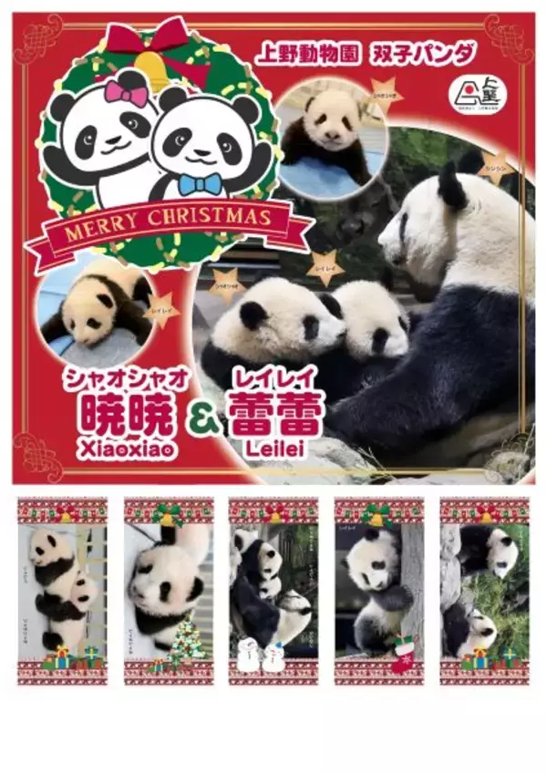 上野公園不忍池で「上野シタマチ CHRISTMAS」、12月25日まで　クリスマスパンダ切手も数量限定で販売中