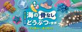 「“キモかわすごい” 海の骨なし動物の魅力を知ろう　東京・多摩六都科学館で夏の企画展」の画像1