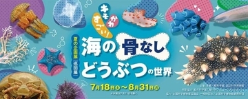 “キモかわすごい” 海の骨なし動物の魅力を知ろう　東京・多摩六都科学館で夏の企画展