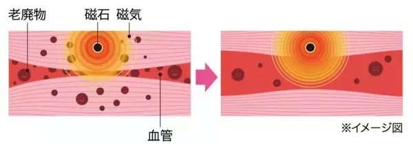 「新年度の前に「3月病」？　ピップ調査、約8割が実感する春の不調」の画像