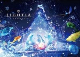 シーパラならではのクリスマスイベント　「SEAPARADISE Christmas」　見どころは幻想的なイルミと没入型パフォーマンス　