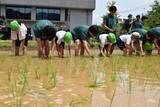 「都内で小学生が田植え　農大にできた新しい「農と水の森」」の画像1