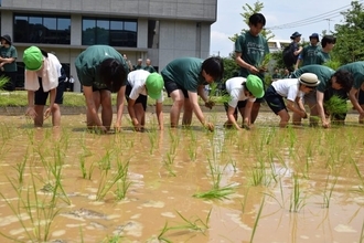 都内で小学生が田植え　農大にできた新しい「農と水の森」