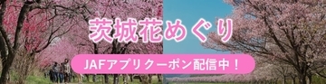 茨城の花の名所をお得にドライブ　JAFがアプリクーポンやプレゼント企画