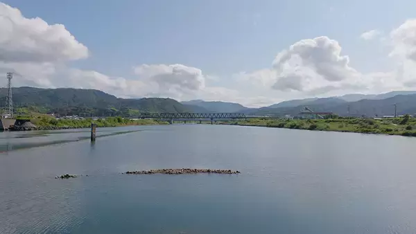 「【高知の川】清流という奇跡を守り抜く、天然アユが問いかける川と人の未来」の画像