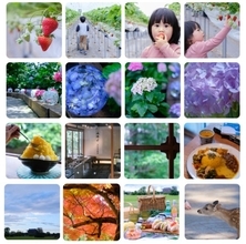 奈良市の「かわいい・おいしい・カラフル」がテーマ　移住希望者にビジュアルな魅力を届けるフォトギャラリー公開