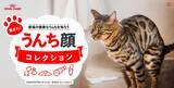 「猫の健康への知識を深めよう、「集まれ“うんち顔”コレクション」　ロイヤルカナンが愛らしい猫ちゃんの「うんち顔」写真を大募集」の画像1