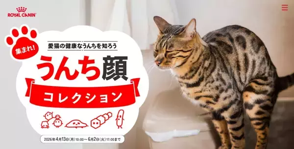 猫の健康への知識を深めよう、「集まれ“うんち顔”コレクション」　ロイヤルカナンが愛らしい猫ちゃんの「うんち顔」写真を大募集