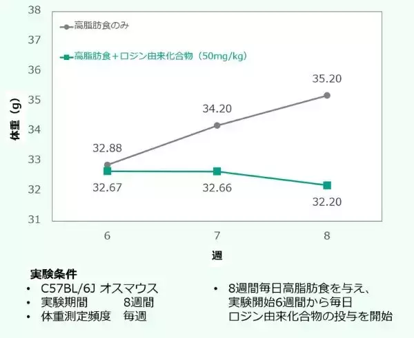 松から得られる「ロジン」由来の化合物に抗肥満作用か　ハリマ化成グループが研究成果を発表へ