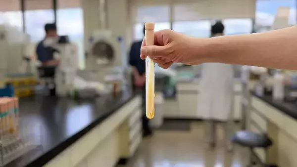 「【高知の酒】垣根を超えて支え合う「高知方式」、なかまの力で発展続ける土佐酒19蔵」の画像