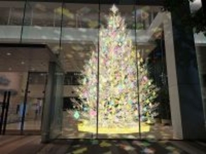 玉川高島屋S.C.に3種のクリスマスツリー　幻想的なオーロラの輝きや生木を使用