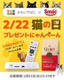 「2月22日は「猫の日」　バッファロー×スマックがInstagramでプレゼントにゃんペーンをスタート　」の画像1