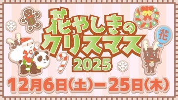 日本最古の遊園地のクリスマスイベント　浅草・花やしき流の冬支度