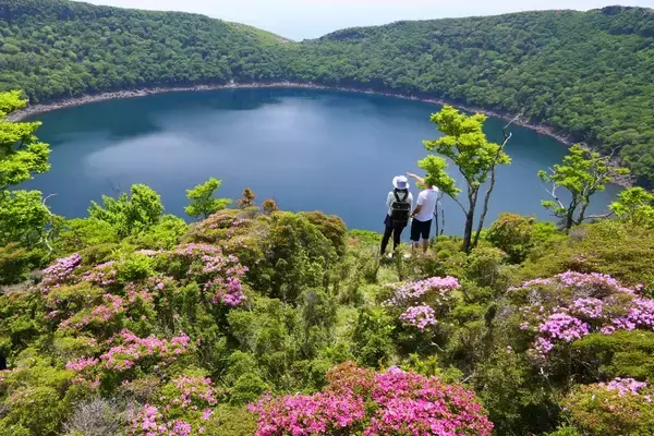 霧島連山のミヤマキリシマはこれから見ごろ　紅紫に染まる初夏の絶景シーズン到来