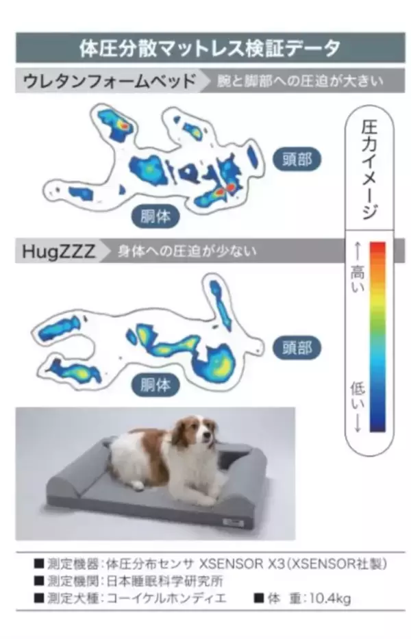 愛犬の心地よい眠りのために　プレミアムベッド「ハグズ」が登場