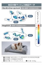 愛犬の心地よい眠りのために　プレミアムベッド「ハグズ」が登場