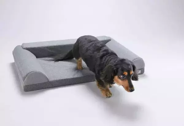 「愛犬の心地よい眠りのために　プレミアムベッド「ハグズ」が登場」の画像