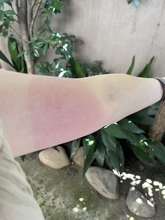 今年の蚊は強いか？　【馬場典子 コラムNEWS箸休め】