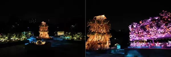 「東京・木場公園で早春の花のイルミネーション角材と花が紡ぐ「常夜灯」が昼も夜も楽しめる」の画像