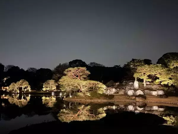 しだれ桜のライトアップやプロジェクションマッピングも　春の夜の東京・六義園で夜間特別開園
