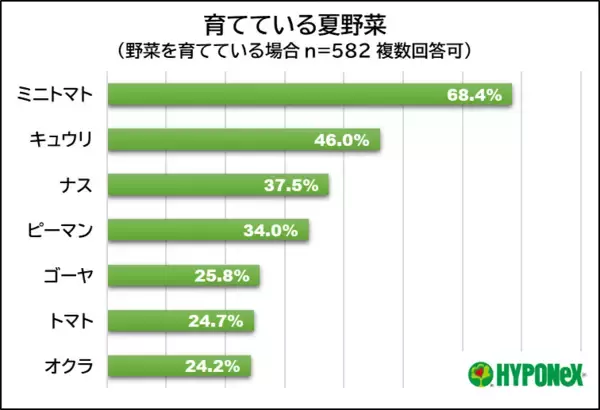 調査で判明、猛暑で植物も夏バテ？　夏野菜の悩み1位は「実割れ」、観葉植物は「水の与えすぎ」で失敗