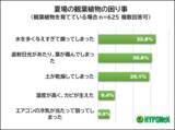 「調査で判明、猛暑で植物も夏バテ？　夏野菜の悩み1位は「実割れ」、観葉植物は「水の与えすぎ」で失敗」の画像2