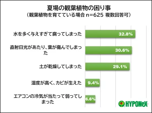 「調査で判明、猛暑で植物も夏バテ？　夏野菜の悩み1位は「実割れ」、観葉植物は「水の与えすぎ」で失敗」の画像