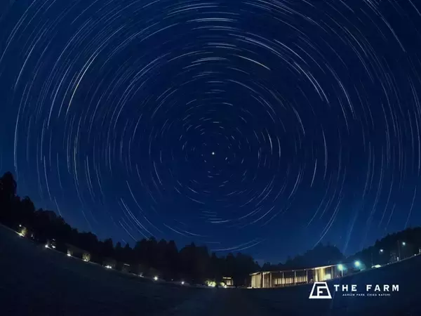 「農園の夜空にペルセウス座流星群を見る　夏の星空観賞会」の画像