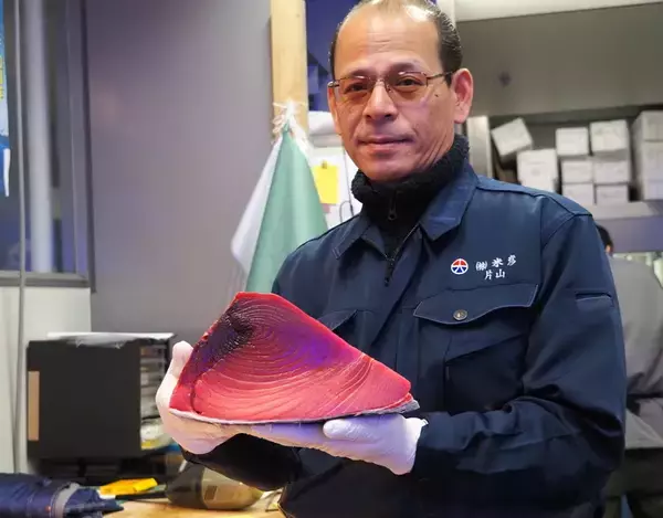 「初競り本マグロをお取り寄せ　刺身用のさくで買える」の画像