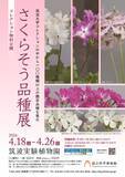 「春を告げるサクラソウの品種展　栽培の歴史から品種の由来まで」の画像1