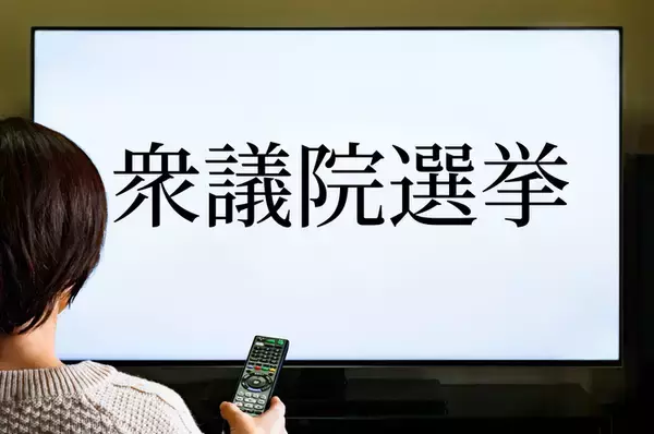 永田町チルドレンの“生存率”　【政眼鏡（せいがんきょう）－本田雅俊の政治コラム】