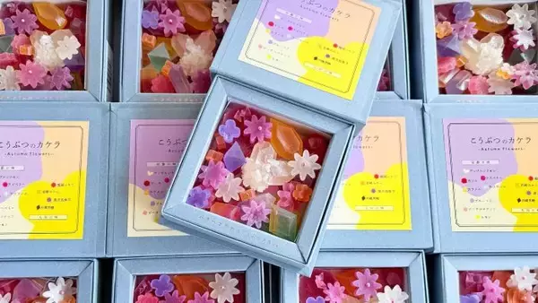 金木犀やコスモスが“宝石菓子”に　ハラペコラボが秋限定の琥珀糖を発売
