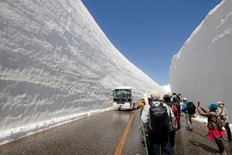 立山黒部アルペンルート、春の風物詩　「雪の大谷ウォーク」を開催