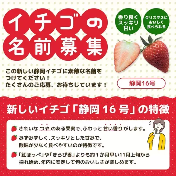 イチゴの名付け親になりませんか？　新品種「静岡16号」が誕生