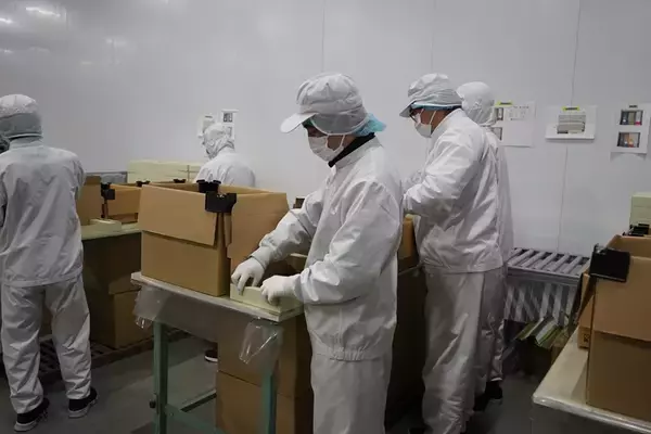 「幸せな人生を歩み続けることを目指す」　チャレンジ機会やチャンスは公平に　日総工産の特例子会社「日総ぴゅあ」の取り組み