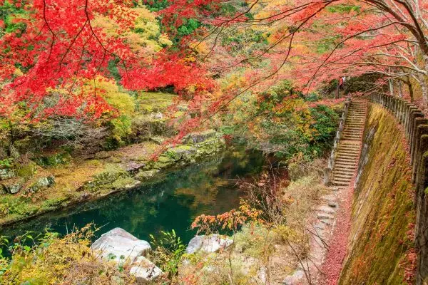 秋に行きたい岡山の旅　おすすめは紅葉とともに楽しむ“渓谷美”や温泉