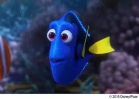 ニモ続編の赤ちゃんドリー映像 キュートで悶絶級にかわいい姿 16年6月21日 エキサイトニュース