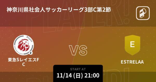 神奈川県社会人サッカーリーグ3部c第2節 まもなく開始 東急sレイエスfcvsestrelaa 21年11月14日 エキサイトニュース