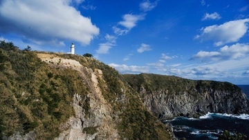 【究極の選択】崖から家族と恋人が落ちそう！どっちを助ける→若者の8割が選んだのは…？その理由が興味深いんです