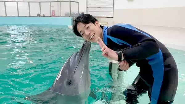 大人もワーキャー止まらない！大阪旅行で絶対行きたい、ガチ恋の距離でイルカと触れ合える「ノアドルフィンドーム」体験レポ！