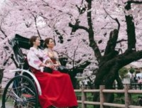 クルーズや人力車のツアー、ホテル滞在でゆったり♡Pouch厳選