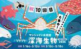 「「見る」だけじゃない、「触れる」神秘」の画像1