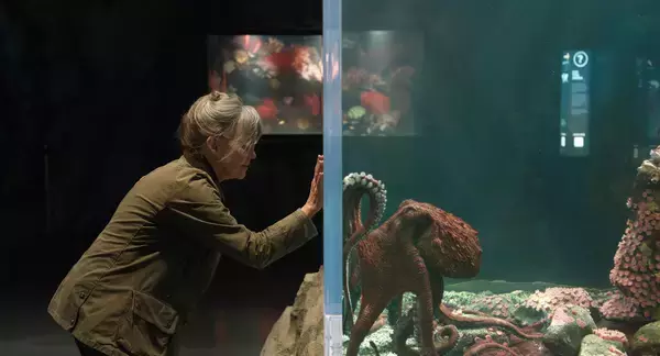 孤独な2人をつないだのは3つの心臓と9つの脳をもつタコ？Netflix映画『親愛なる八本脚の友だち』