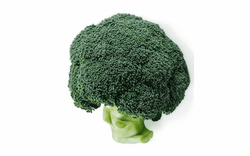 ブロッコリーが約50年ぶりの快挙！ブロッコリーの栄養とおいしさを再発見。マンネリ解消レシピも紹介