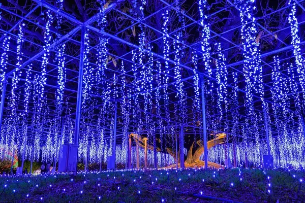 現実を忘れて楽しめそう…！冬のあしかがフラワーパークはイルミネーションがすごい✨初の「ドローンショー」も開催されるって〜！