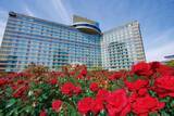 「ホテルニューオータニに3万輪の赤薔薇が咲き乱れる」の画像1